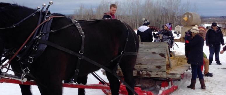new hope sleigh ride